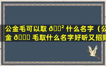 公金毛可以取 🌲 什么名字（公金 🐅 毛取什么名字好听又招财）